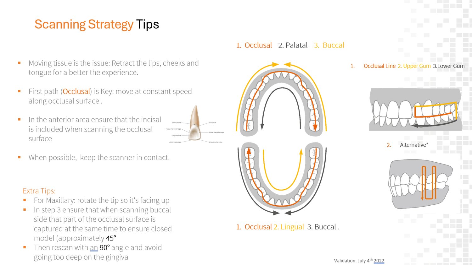 Scanning strategy tips: maxillary and mandibular scan paths